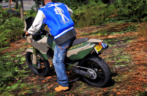 GTA5_2024-10-21_12-02-39 FiveM Mod GTA 5 Debadged Car