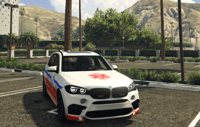 EMS Debadged Car Pack 11 Vehicles - Image 17