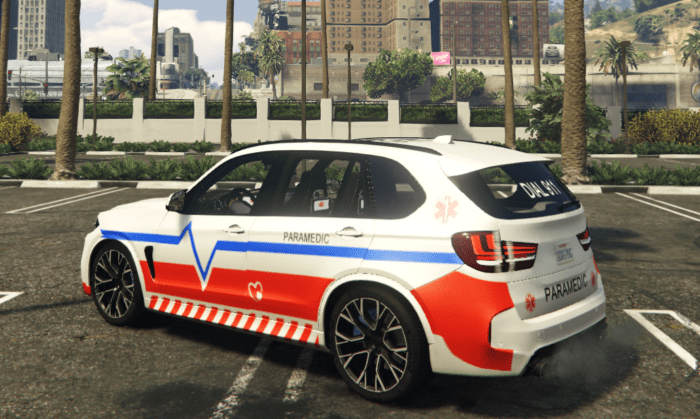 EMS Debadged Car Pack 11 Vehicles - Image 18