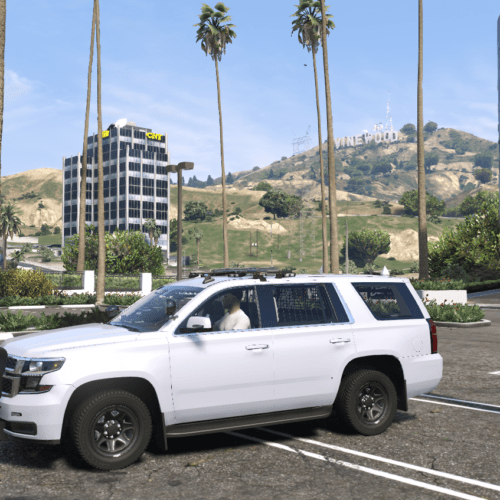 Screenshot 2025-03-11 112044 FiveM Mod GTA 5 Debadged Car