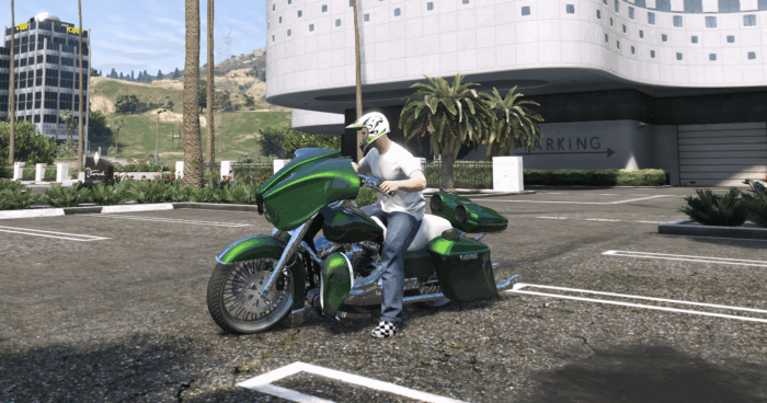 Custom Bagger Skat - Image 2