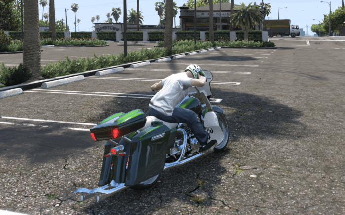 Custom Bagger Skat - Image 4