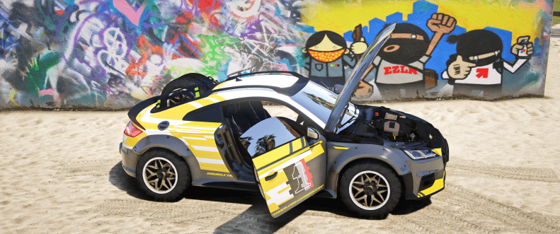 Audi TTRS Safari Edition - Image 6