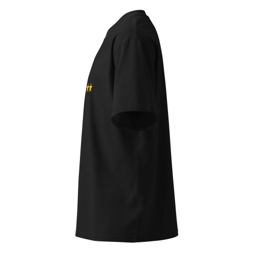 unisex-organic-oversized-high-neck-t-shirt-black-left-698b1ac0af567.jpg FiveM Mod GTA 5 Debadged Car