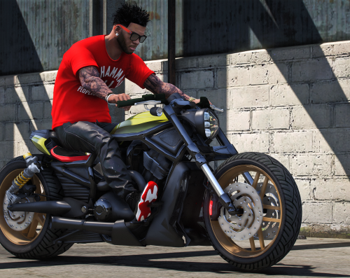 Harley V-Rod Custom 2024