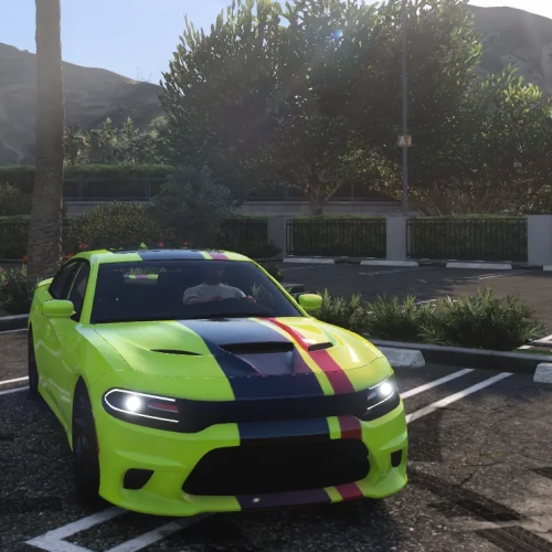 2015 Dodge Charger Ghounz Cat