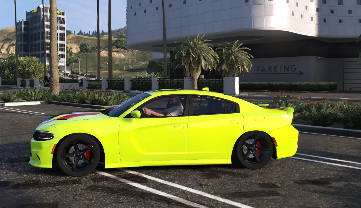 2015 Dodge Charger Ghounz Cat - Image 2