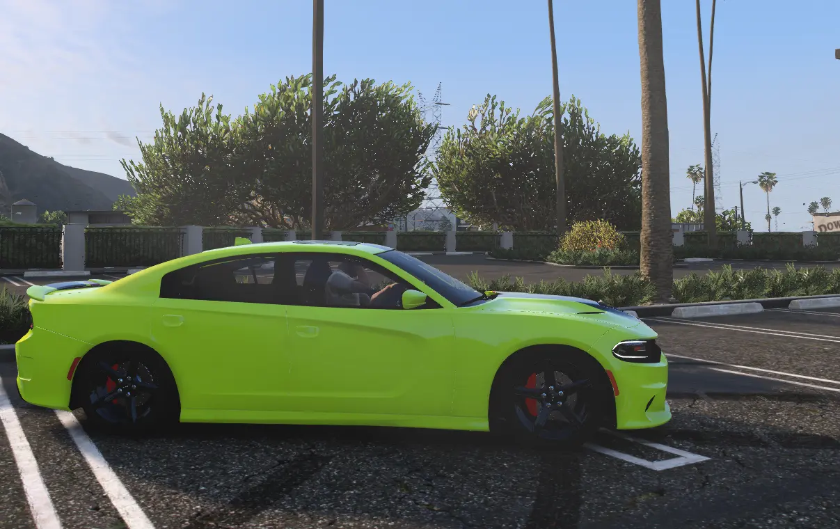 2015 Dodge Charger Ghounz Cat - Image 5