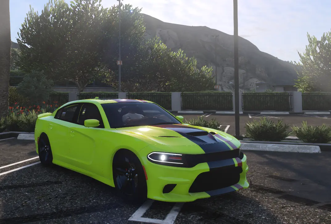 2015 Dodge Charger Ghounz Cat - Image 6