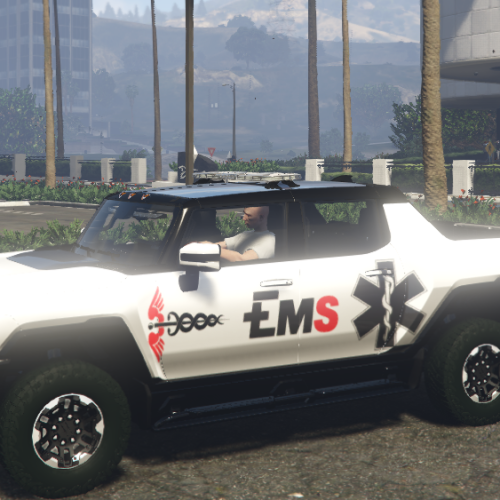 Screenshot 2026-06-03 061649 FiveM Mod GTA 5 Debadged Car