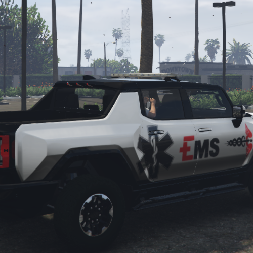 Screenshot 2026-06-03 061705 FiveM Mod GTA 5 Debadged Car