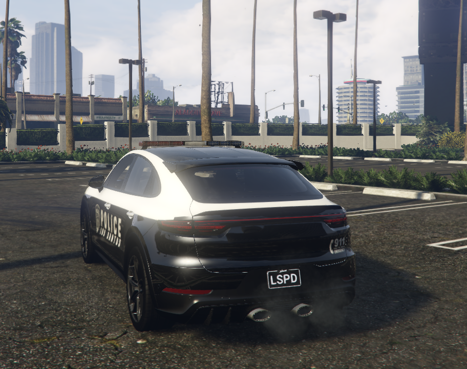Porsche Police - Image 4