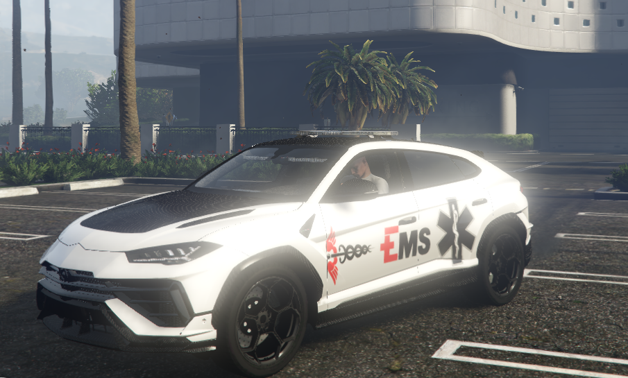 Lamborghini Urus EMS - Image 2