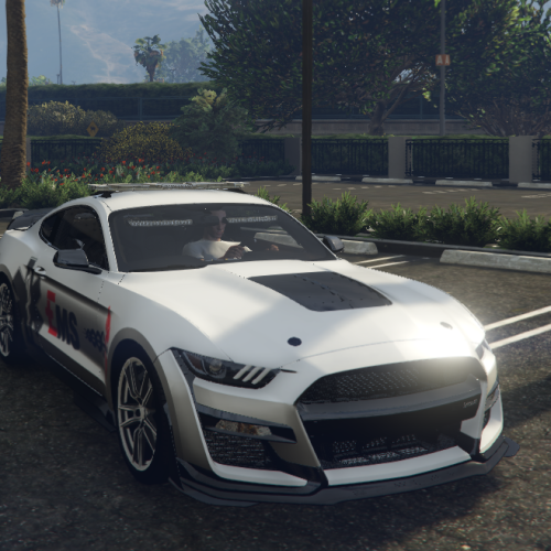 Ford Mustang EMS