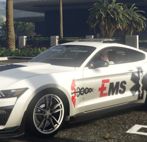 Screenshot 2026-06-07 080008 FiveM Mod GTA 5 Debadged Car
