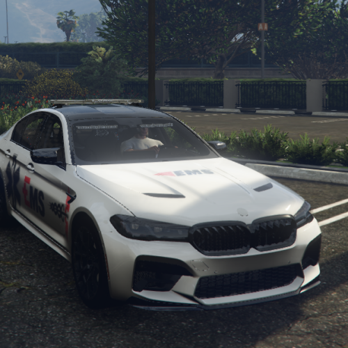 BMW M5 EMS