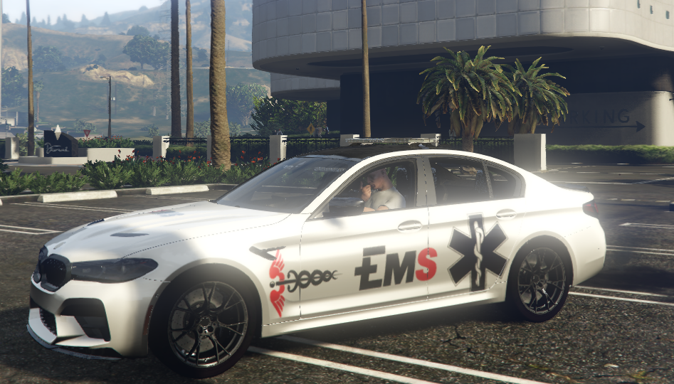 BMW M5 EMS - Image 2