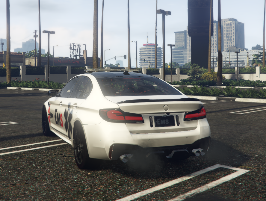 BMW M5 EMS - Image 3