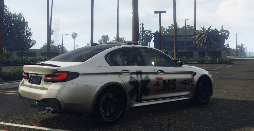 BMW M5 EMS - Image 4