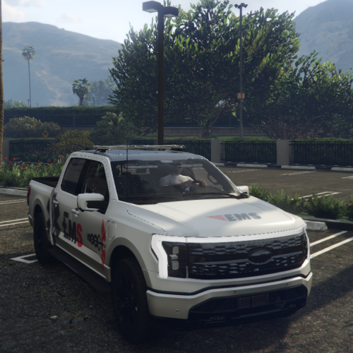 Ford F-150 EMS