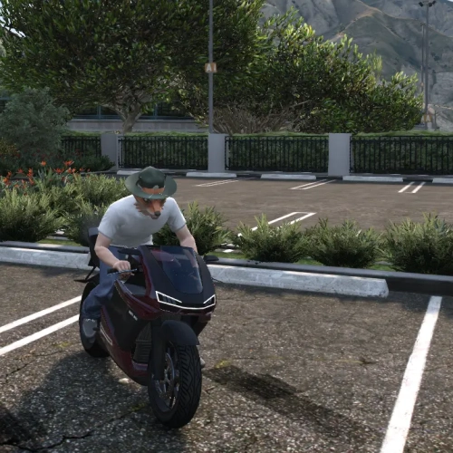 Lore Pegassi Bati 901