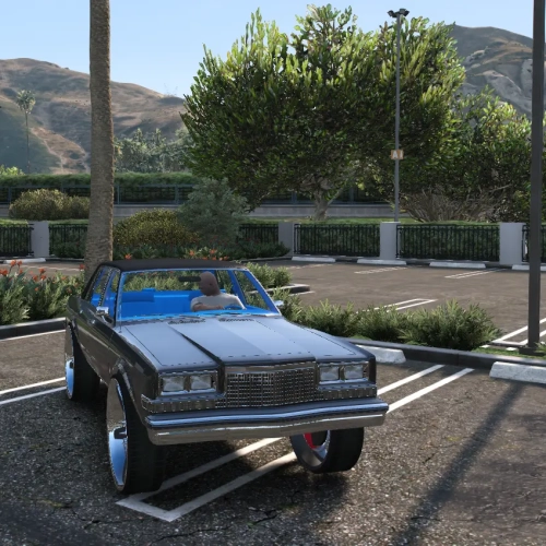 Dodge Diplomat on 30s Donk