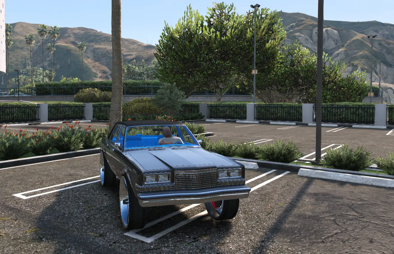 Dodge Diplomat on 30s Donk FiveM Car