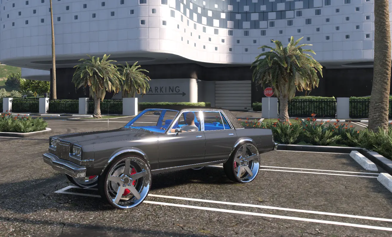 Dodge Diplomat on 30s Donk - Image 2