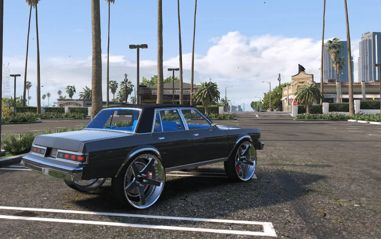 Dodge Diplomat on 30s Donk - Image 4