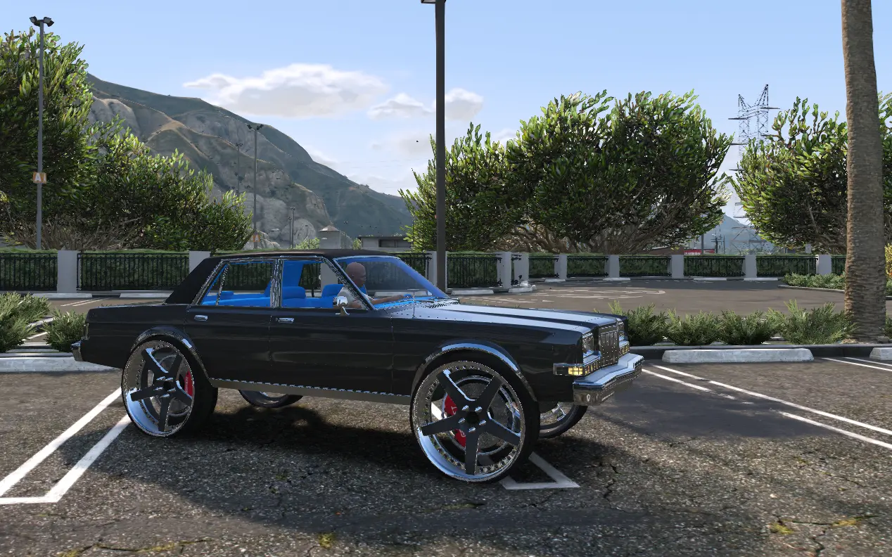 Dodge Diplomat on 30s Donk - Image 5