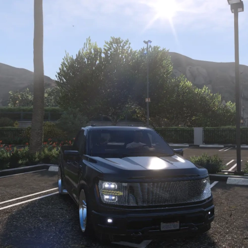 Ford F-150 Single Cab Custom