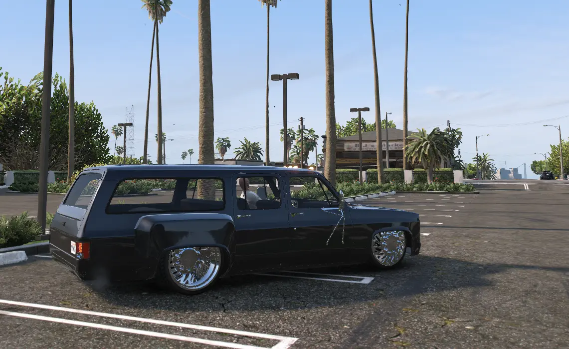 Cworks Suburban Bagged - Image 4