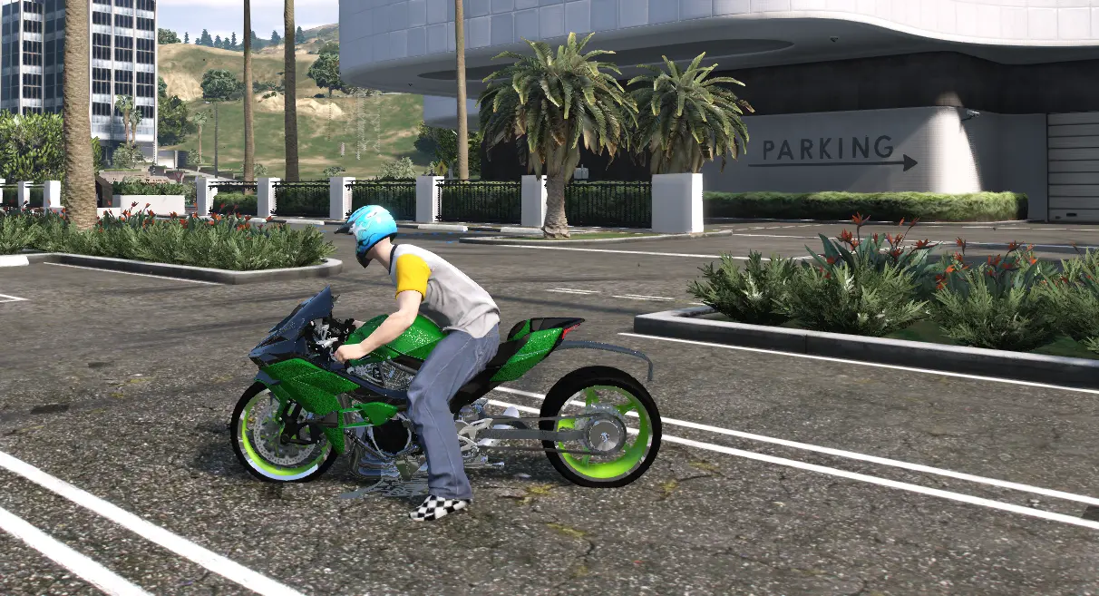 Kawasaki Ninja H2R Angel Custom - Image 2
